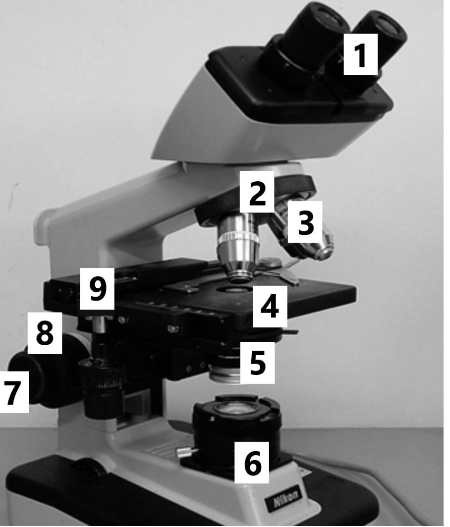 <p>#1 and #2</p>