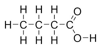 <p>acid butanoic</p>