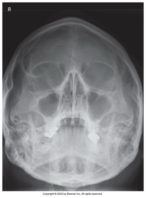 <p>What view is this?</p>