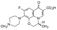 <p>what is the pharmacophore</p>