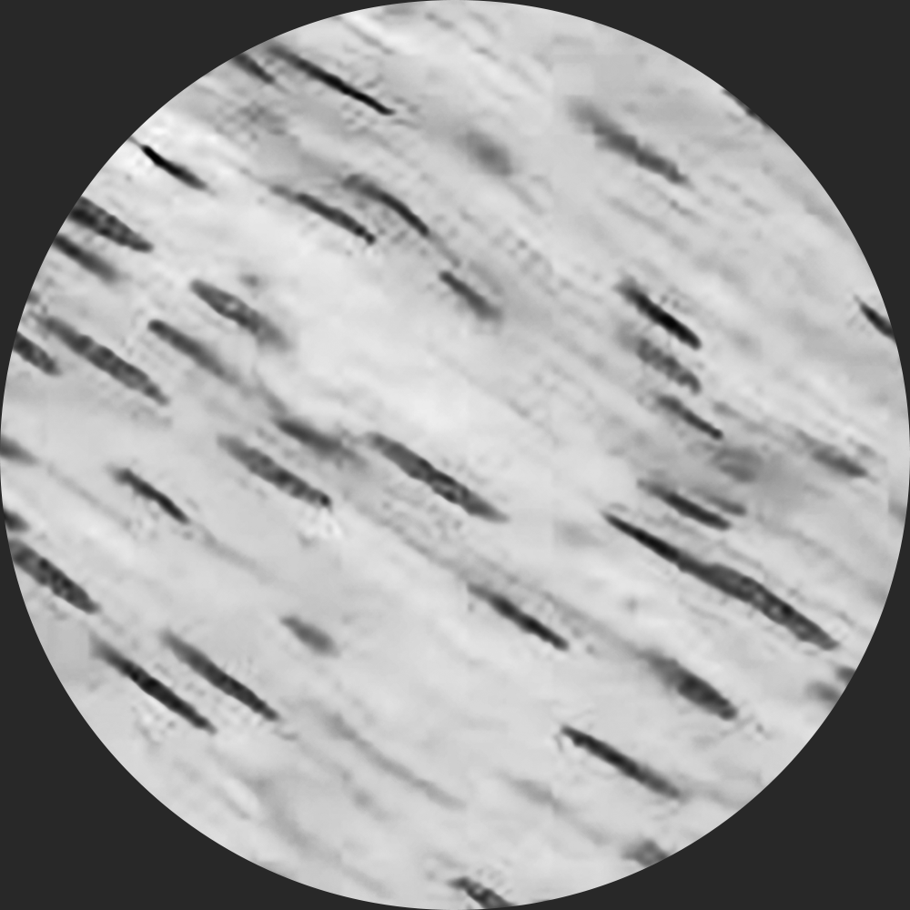 term image