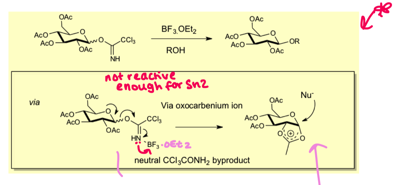 <ul><li><p>forms via sn1 reaction, although some strong nucleophiles can react via sn2 reaction</p></li><li><p>forms via oxocarbenium ion (on the slide)</p></li></ul><p></p>
