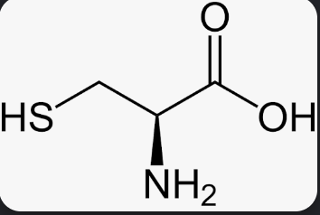 <p>What amino acid is this? </p>