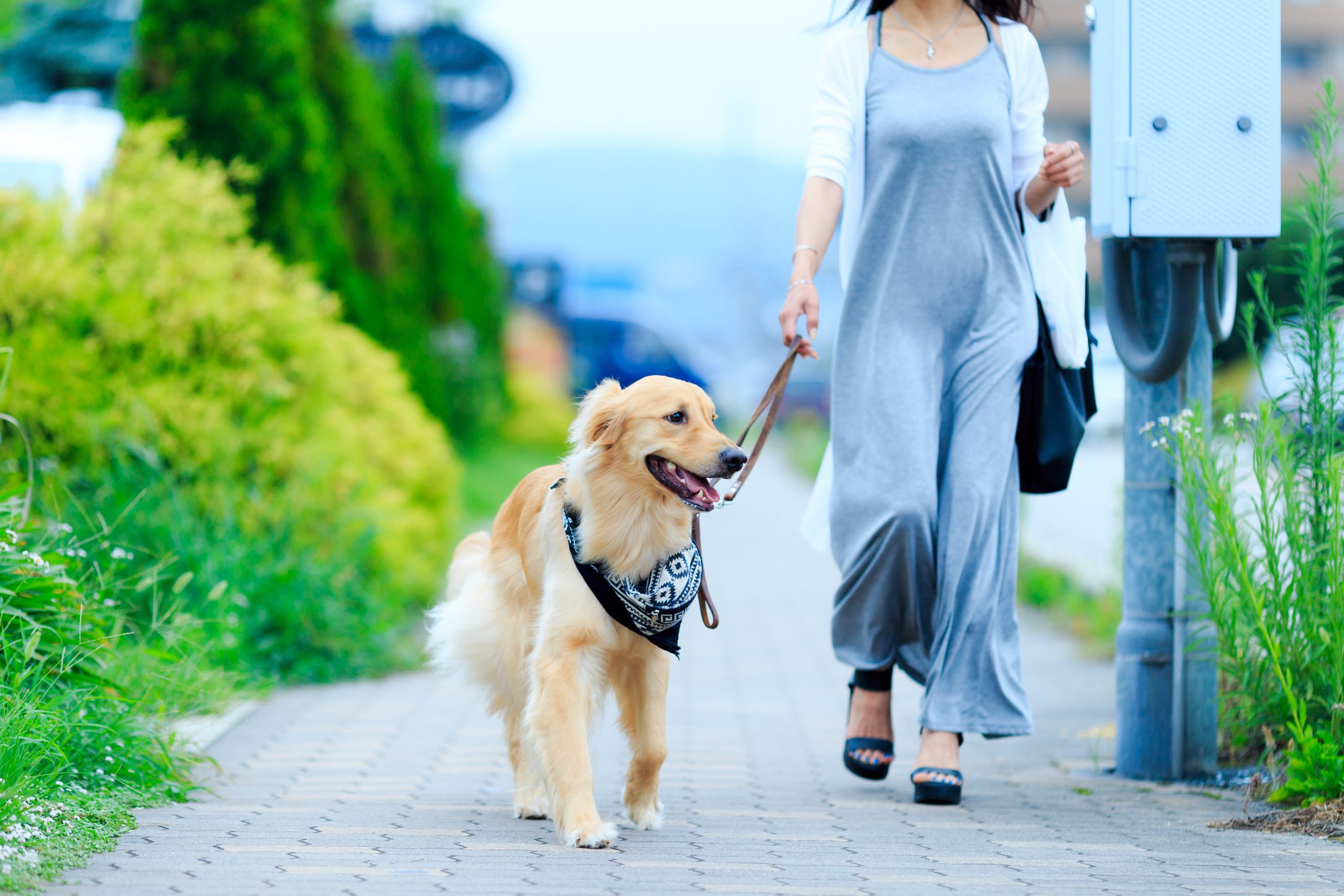 <p>walk</p>