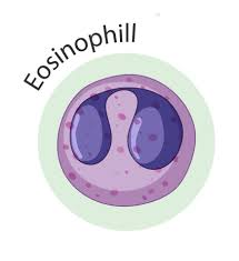 <p>_____ has the ability to fight off parasites.</p>