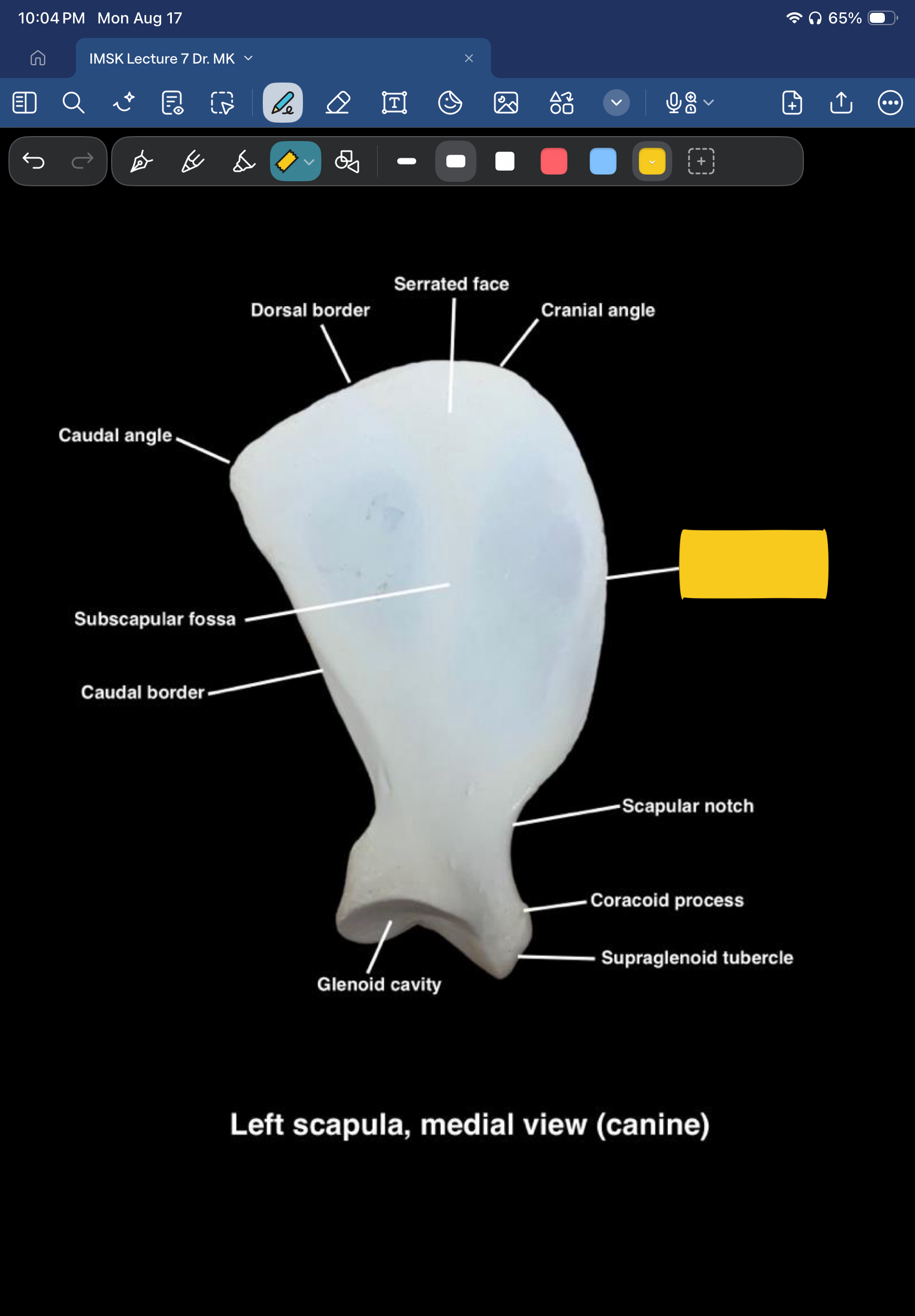 term image