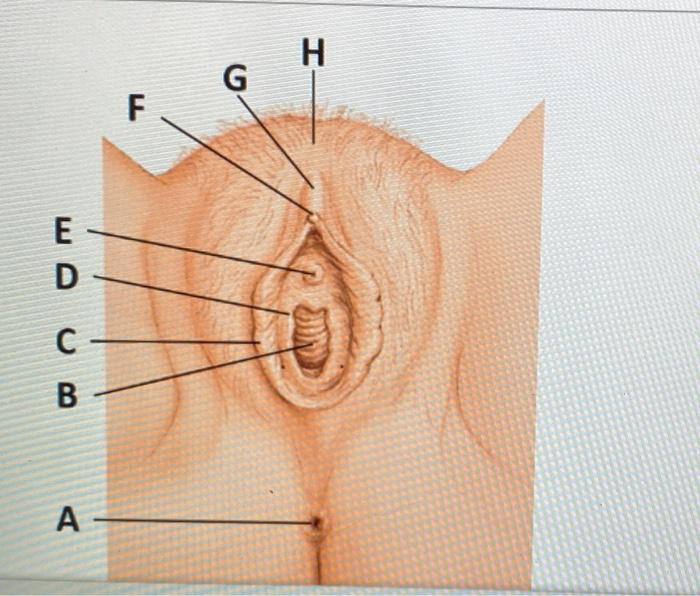 <p>what is “e”</p>