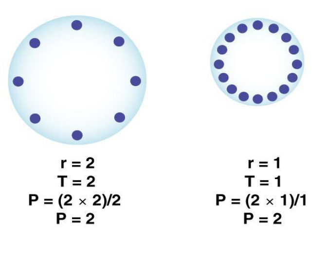 <ul><li><p>Law of LaPlace: P = 2T/r</p></li><li><p>if two bubbles have the same surface tension, the smaller bubble will have the higher pressure according to the law of LaPlace</p></li><li><p>surfactant reduces surface tension by H-bonding with surrounding moist areas to help break up the surface tension </p></li><li><p>equalize the pressure between the two sizes and make i easy to inflate for gas exchange to occur</p></li></ul><p></p>