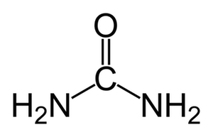 <p></p>