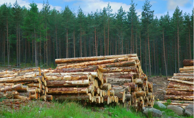 <p>What are natural resources?</p>