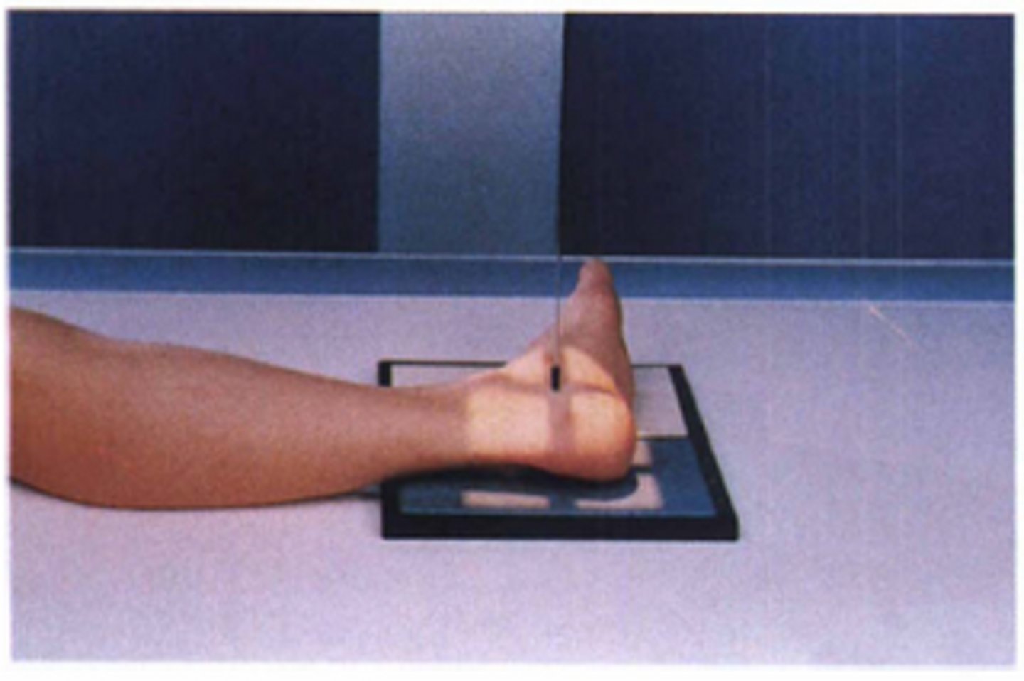 <p>S - on lap</p><p>T - 5 mAs @ 60 kVp</p><p>A - none</p><p>M - correct foot on cassette</p><p>P - lateral side down, CR 1/2" below malleolus</p><p>S - 40"</p><p>B - hold</p><p>C - 10 x 12, C</p>