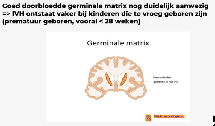<p>De symptomen ontstaan niet door de bloeding maar door de verhoogde hersendruk die hiermee gepaard gaat.</p><p>-Braken</p><p>-Prikkelbaar (kreunen, stop-signaal, fladderen met handen → glycemie prikken want kan teken hypo zijn), onrustig</p><p>-Wisselende lichaamstempratuur</p><p>-Apneus</p><p>-Slecht drinken</p><p>-Slaperigheid, suf, bewustzijnverlies</p><p>-Gebombeerde fontanel</p><p>-Bradycardie</p><p>=> Niet elk kind met een IVH heeft symptomen! Het ontstaat meestal in de eerste drie dagen na de geboorte, daarna is het zeldzaam. Het ontstaat doordat de bloedvaten nog zeer kwetsbaar zijn en geen bloeddrukschommelingen kunnen opvangen. De germinale matrix in de hersenen kan dan beginnen bloeden.</p><p>=> De diagnose gebeurd met een echo via de fontanel. Wanneer een kind vroeger als 32 weken is geboren gebeurd dit standaard regelmatig ter controle.</p>