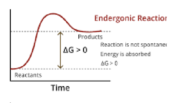<p>Rxn unfavorable</p><p>Equilibrium favors reactants (reverse rxn)
Energy absorbed
Endergonic </p>