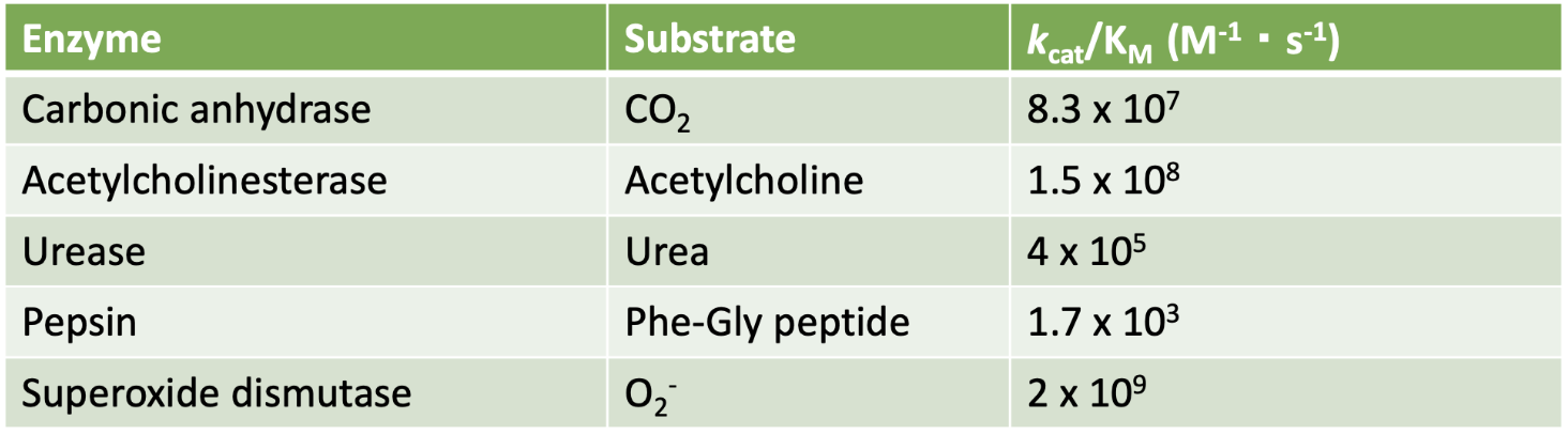 <p>Which of the following enzymes would be considered very highly efficient/near catalytic perfection? <em>Select all that apply.</em></p>