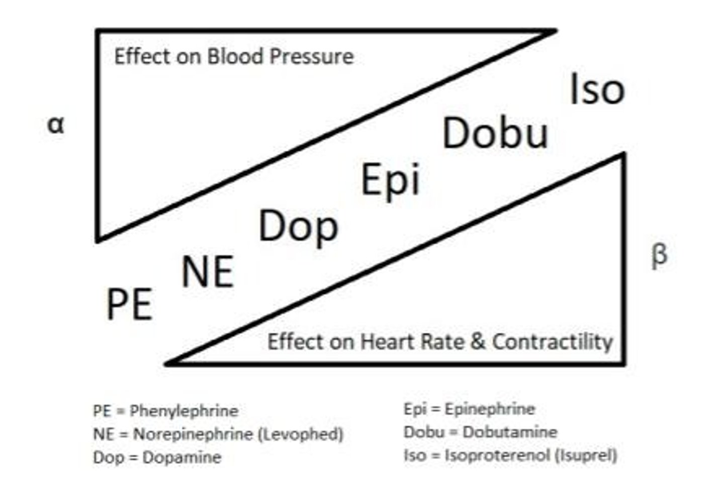 <p>Drugs that affect the tone of blood vessels.</p>