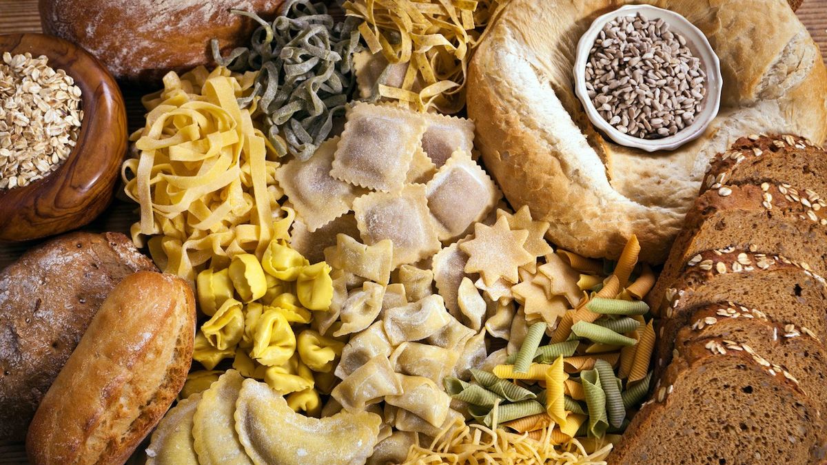 <p>What is the major function of carbohydrates in the body?</p>