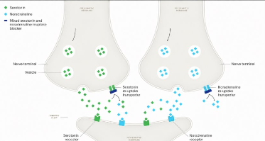 <p>…</p>