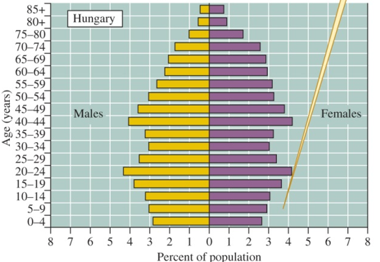 <p>Stable population with roughly equal birth and death rates</p><p><span>self-replacement (birth = death)</span></p>