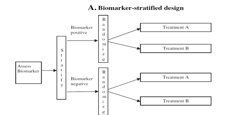 <ul><li><p>Treatment options are given at random regardless of biomarker status</p></li><li><p>Analysis plan is centered on testing the dependence of treatment effect on biomarker status</p></li></ul><p></p>