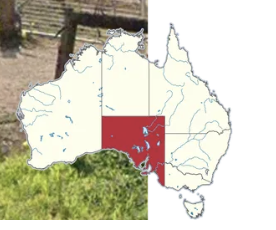 <p>South Australia</p>