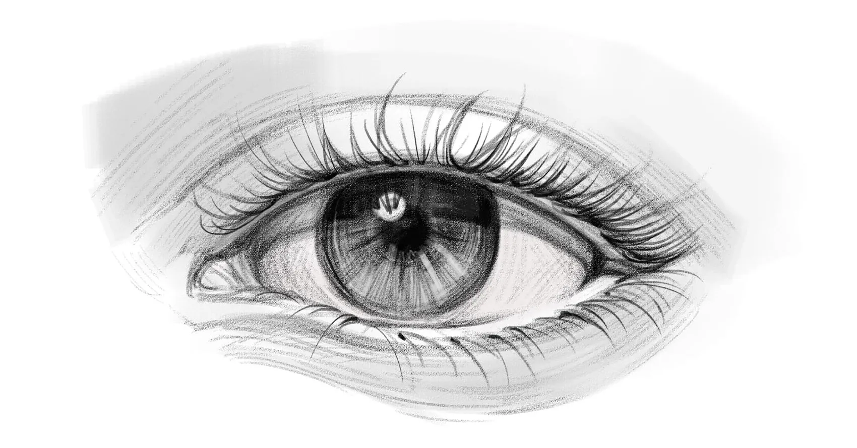 <p>Videō, vidēre</p>