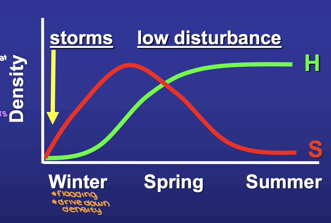 <p><strong>successional replacement</strong> over the summer</p><p>is the replacement driven by abiotic (season) or biotic (competition) factors?</p>