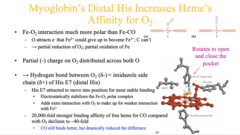 <p>idfk on this whole slide</p>