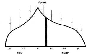 <p>static perimetry </p>