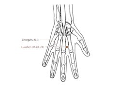 <p>On dorsum of hand, between 2nd & 3rd metacarpal bones, 0.5 cun posterior to metacarpophalangeal joint</p><p>Sore neck, pain in shoulder and arm</p>