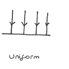 <p>A uniform field is represented by parallel, equally spaced field lines.</p>