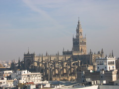 <p>conocemos</p>