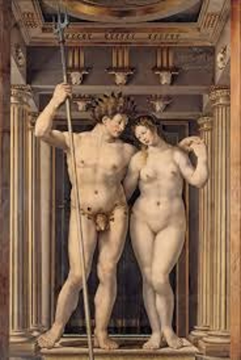 <p>Genital region</p>