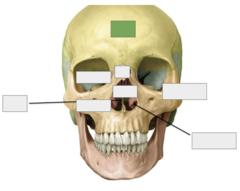 <p>This is the</p>