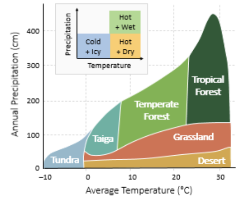 <p>temperature and rainfall pattern conditions illustrated using a climograph</p>