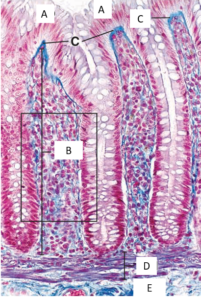 <p>Identify</p>