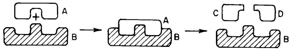 <p><span>This is the location on an enzyme where the substrate will attach to the enzyme and either be broken down or where monomers will join to form a polymer</span></p>