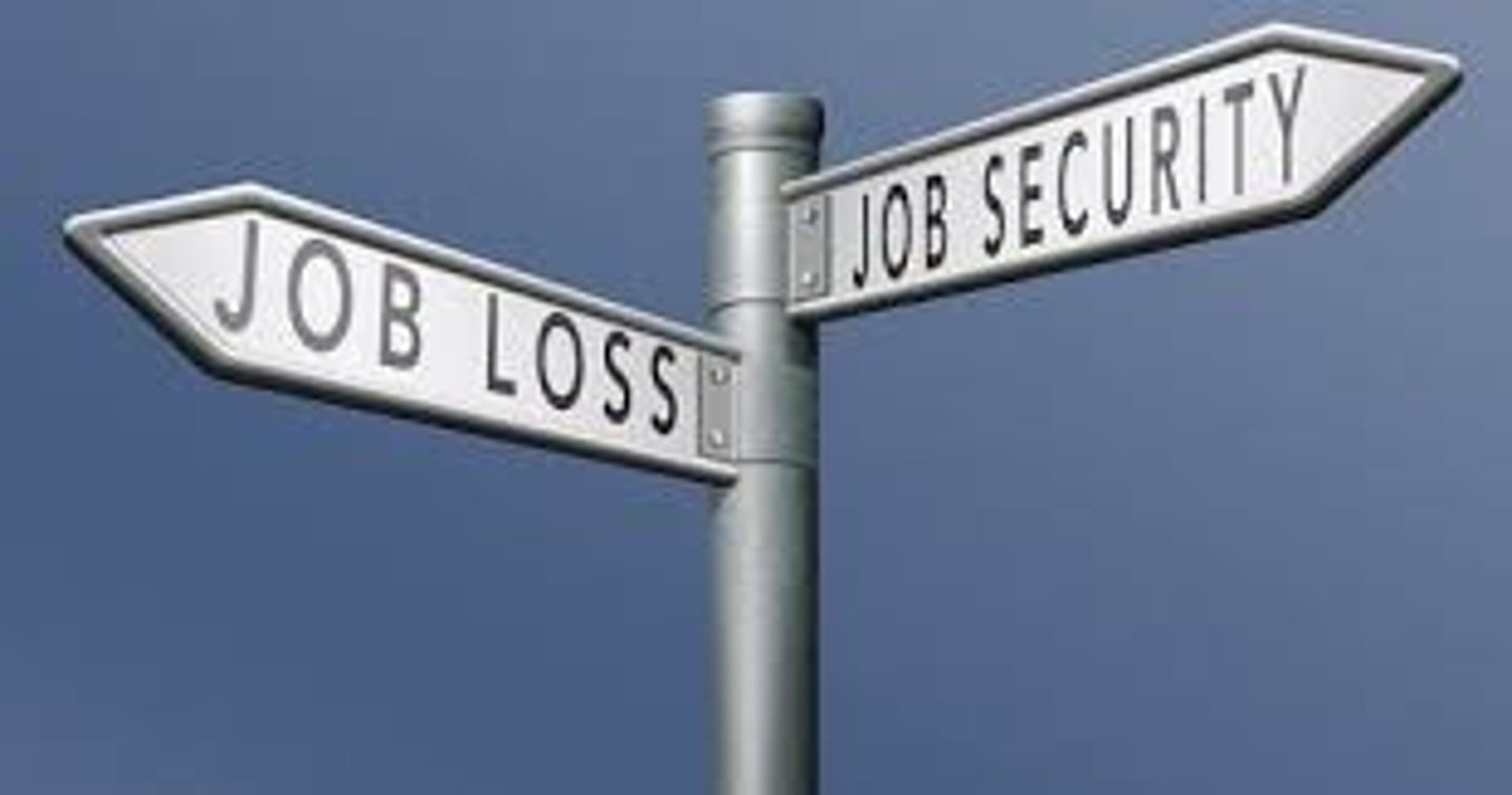 <p>the state of having a job that is secure and from which one is unlikely to be dismissed</p>