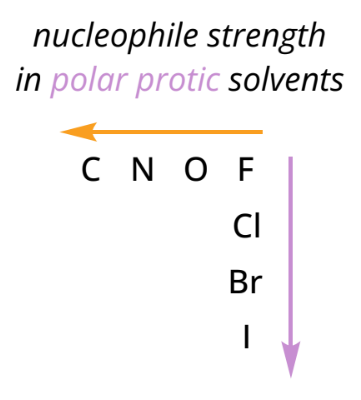 <ul><li><p>solvents that form H-bonds</p></li><li><p>nucleophilicity increases down a group</p><ul><li><p>Ex: H<sub>2</sub>O, CH<sub>3</sub>OH</p></li></ul></li></ul><p></p>