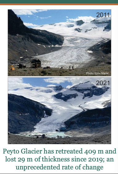 <p>Glacial retreat and sea level rise </p><p>consequences:</p><ul><li><p>GLOBAL SEA LEVEL rose - 100 mm since 1993 and accelerating </p></li><li><p>Low-lying cities and entire islands nations face existential risk by 2100</p></li></ul><p></p>
