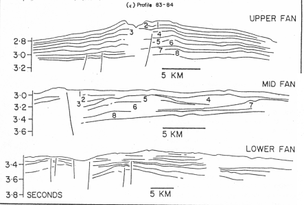 <p>Sediment that submarine canyons transport into deeper water extends out onto the continental rise, forming underwater fans that extend in a similar manner to an alluvial fan</p>