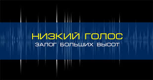 <p>Высокий или визгливый голос подсознательно считывается как признак зажима и нервозности. Низкий голос сигнализирует о спокойствии и доминировании. Пример: перед важным звонком сделайте несколько глубоких вдохов, чтобы расслабить связки и говорить «грудью», а не горлом. [END]</p>