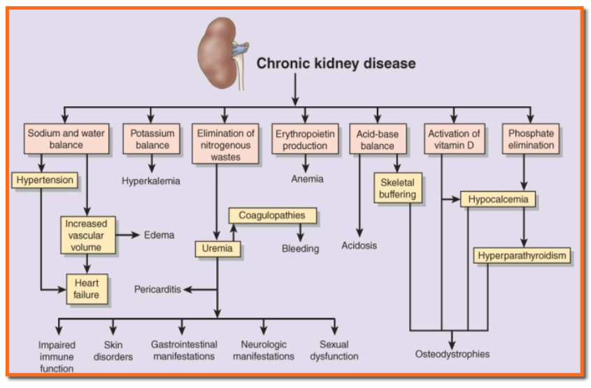<ul><li><p>know how to educate patient</p></li></ul><p></p>