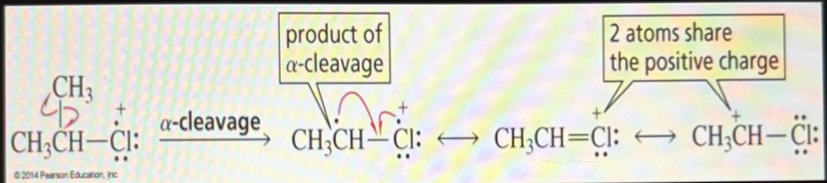 <p>-photo demonstrates alpha Cleavage in an Alkyl Chloride</p><p>-The homolytic cleavage of the carbon-carbon bond is called alpha cleavage</p><p>-The bonds that break are the weakest bonds and form the most stable fragments</p>