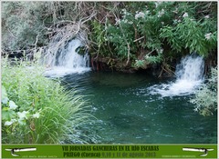 <p>river</p>