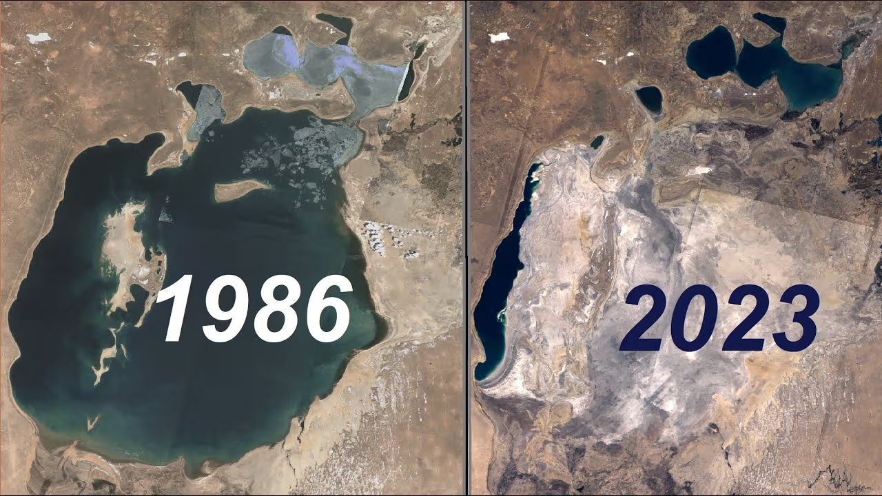 <ul><li><p><span style="background-color: transparent; font-family: "Helvetica Neue", sans-serif;">A lake located between Kazakhstan &amp; Uzbekistan</span></p></li><li><p><span style="background-color: transparent; font-family: "Helvetica Neue", sans-serif;">It was fed by rivers but had no outflows</span></p></li></ul><p>—————————————————————————————————--</p><p><span style="background-color: transparent; font-family: "Helvetica Neue", sans-serif;">Causes of loss:</span></p><p><span style="background-color: transparent; font-family: "Helvetica Neue", sans-serif;">1960 - Water management scheme&nbsp;</span></p><p><span style="background-color: transparent; font-family: "Helvetica Neue", sans-serif;">1) <strong>Desertification&nbsp;</strong></span></p><ul><li><p><span style="background-color: transparent; font-family: "Helvetica Neue", sans-serif;">Diverted two major rivers feeding Aral Sea to irrigate an area of desert&nbsp;</span></p><ul><li><p><span style="background-color: transparent; font-family: "Helvetica Neue", sans-serif;">This reduced water flow, eventually drying up&nbsp;</span></p></li></ul></li></ul><p></p><p><span style="background-color: transparent; font-family: "Helvetica Neue", sans-serif;">2) <strong>Salinisation&nbsp;</strong></span></p><ul><li><p><span style="background-color: transparent; font-family: "Helvetica Neue", sans-serif;">As water volume decreased, salinity of remaining lake increased</span></p></li></ul><p>—————————————————————————————————--</p><p><span style="background-color: transparent; font-family: "Helvetica Neue", sans-serif;">Consequence of loss:</span></p><p><span style="background-color: transparent; font-family: "Helvetica Neue", sans-serif;"><strong>Biodiversity loss - </strong>Conditions became inhabitable for endemic species, including extinction of 24 fish species &amp; invertebrates</span></p><p></p>