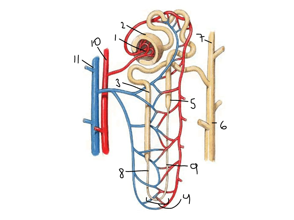 <p>9</p>
