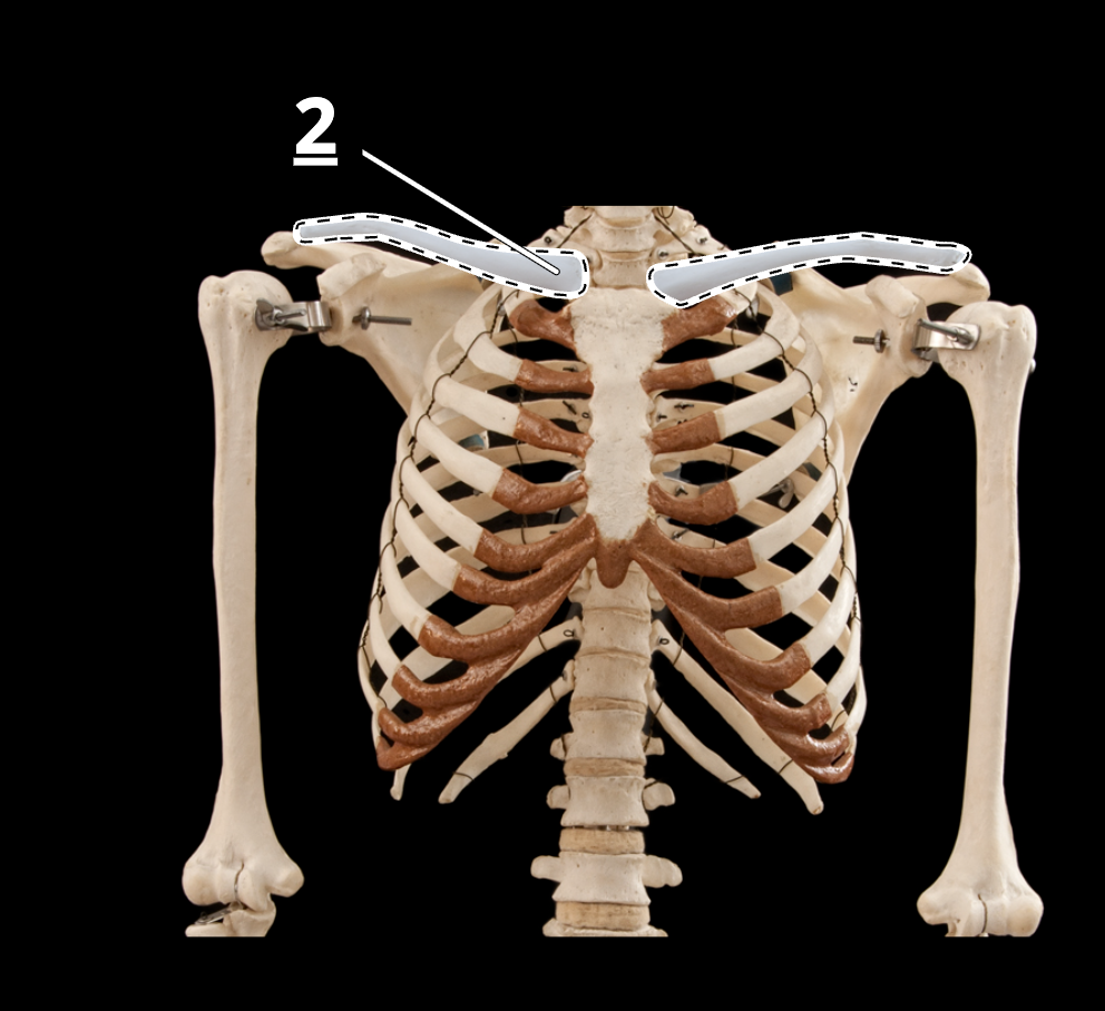 <p>2</p>