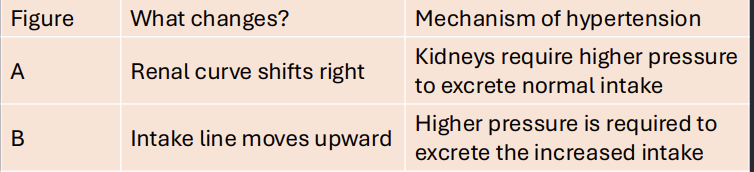 <p>Answer: Salt retention increases volume until higher BP drives enough natriuresis.</p><p>Extra Information:</p><ul><li><p>The new equilibrium occurs where renal output again matches intake.</p></li></ul><p></p>