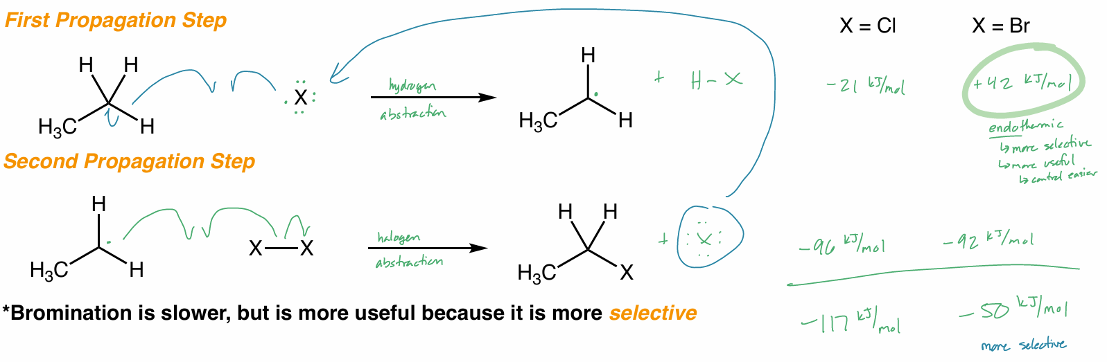 <ul><li><p>only Cl<sub>2</sub> & Br<sub>2</sub></p><ul><li><p>Br<sub>2</sub> is slower, but more selective → more useful </p></li><li><p>both exothermic </p></li></ul></li><li><p>F<sub>2</sub> too explosive</p></li><li><p>I<sub>2</sub> too slow, NR</p></li></ul><p></p>