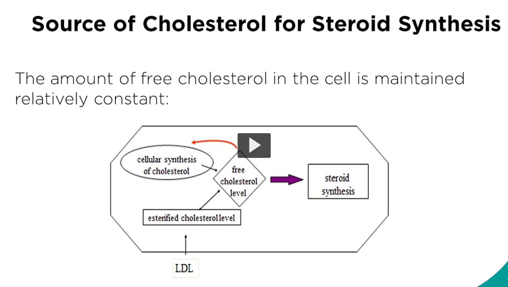 <p><u>source of cholesterol for steroid synthesis</u></p><p>This is a summary of the two sources of cholesterol </p><ol><li><p>de novo synthesis of free cholesterol from acetyl-CoA in the fed state conditions</p></li><li><p>OR free cholesterol from the LDL receptor mediated process. </p></li></ol><p></p>